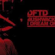 Bushwacka I Dream Of You