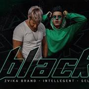 Zvika Brand Intellegent