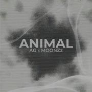 Animal Fate Winx Saga