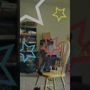 Drfresch Tree Taty