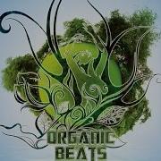 V A Organic Beats Vol 4