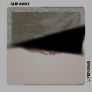 Slip Away Enamour Sam Shi