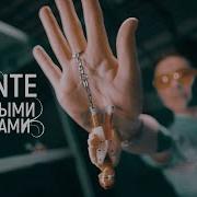 Dante Пряными Травами