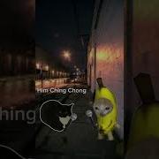Maxwell Cat Rapper