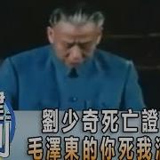 暗黑刘少奇