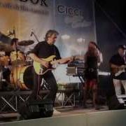 Cicci Guitar Condor
