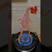 Chicken Gun Dance Music
