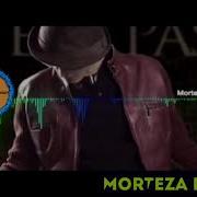 Mortaza Pashaei 2020
