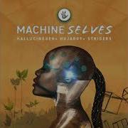 Machine Selves Hallucinogen