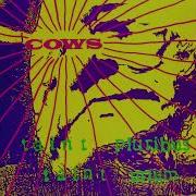 Cows Summertime Bone
