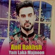 Yam Laka Majnoon By Anil Bakhsh