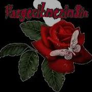 Iyiki Varsin Canim Can Yoldasim Mp3