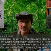 Стой Кто Ведет Аудиокнига