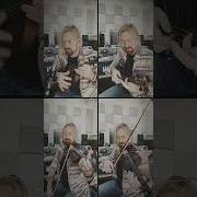 Violin Reggae Covers
