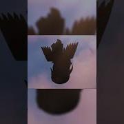 Come Fly With Me Gacha Trend