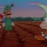 Gopher Bash Review