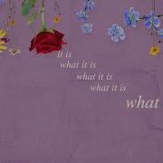 Jenna Raine Lyrics