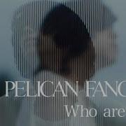 Pelican Fanclub Who Are