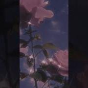 Gomenne Gomenne Edit Audio