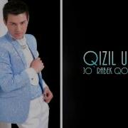 Qizil O Rik