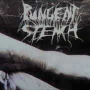 Pungent Stench Full Album