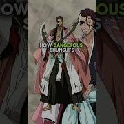 Bankai Kyoraku Shunsui