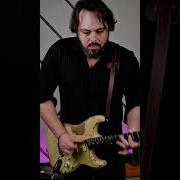 David Levi Guitarist