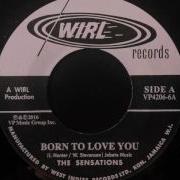 The Sensations Born To Love You