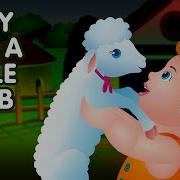 Mary Had A Little Lamb Junior Cars