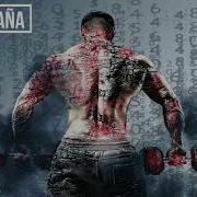 Brutal Entrenamiento En El Gym Gimnasio De Motivación