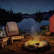Night Camp Sound Effect