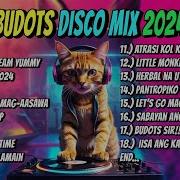 Disco 2024