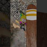 Xd Meme