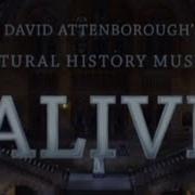 Natural History Museum Alive Creatures