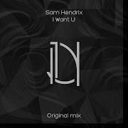 Sam Hendrix I Want You