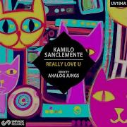 Really Love U Analog Jungs Remix Kamilo Sanclemente
