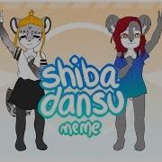 Shiba Dansu Original Meme