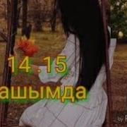 Шок Ыр 14 15