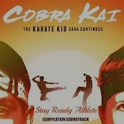 Cobra Kai Compilation Music Score Soundtrack Ost