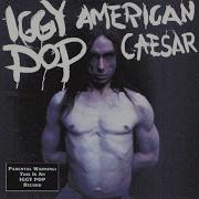 Fuckin Alone Iggy Pop