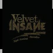 Velvet Insane Boogie Star