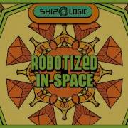 Skizologic In Space