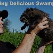 Swamp Rats Brown Sugar