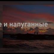 Голые И Напуганные С Акулами