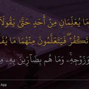 Surah Baqarah 102 Ayat