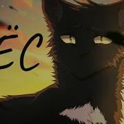 Коты Воители Песня Пёс