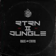 Chase Status Original Business