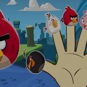 Angry Birds Version Finger Family