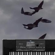 Lian Ross Say Youll Never Korg Pa 600