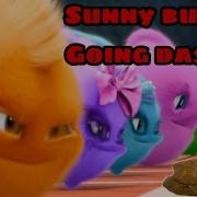 Sunny Bunnies Memes